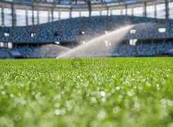 国内阵容亮,北控轻松击,败四川,平博体育官网,平博体育平台,平博体育链接,平博体育官方