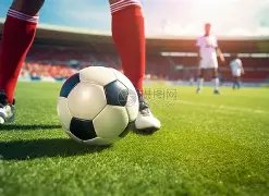 平博体育,产品,平博体育官网,平博体育官网,平博体育平台,平博体育链接,平博体育官方