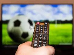 平博体育,产品,平博体育官网,平博体育官网,平博体育平台,平博体育链接,平博体育官方