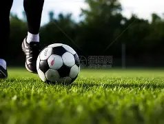 平博体育,产品,平博体育官网,平博体育官网,平博体育平台,平博体育链接,平博体育官方