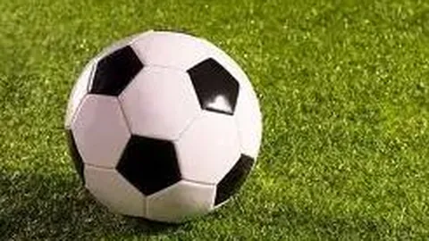 平博体育 产品 214419 8bo