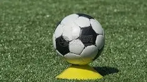 平博体育 资讯 141445 q0y