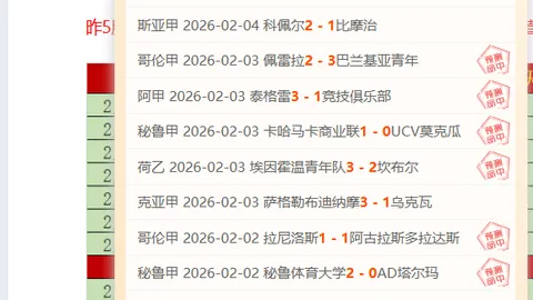 意甲U21球员市场价值排行榜：伊尔迪兹居首，尼科-帕斯与卡斯特罗紧邻其后