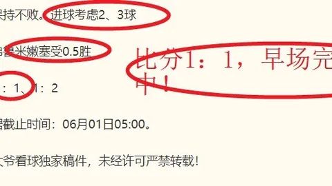 兰黑姆主场对决斯托曼平博体育入口：挪甲焦点战终极指南